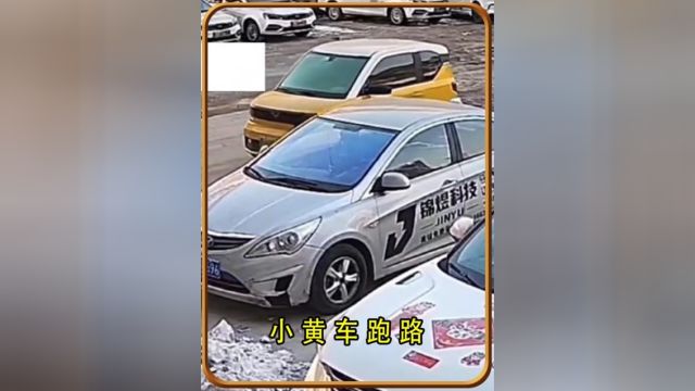 小黄车跑路