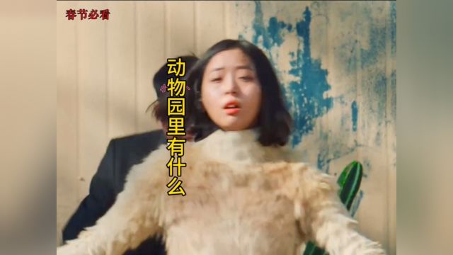 动物园里有什么