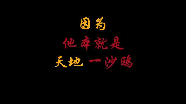 飘飘何所似?天地一沙鸥”而杜甫本就是天地之间一沙鸥