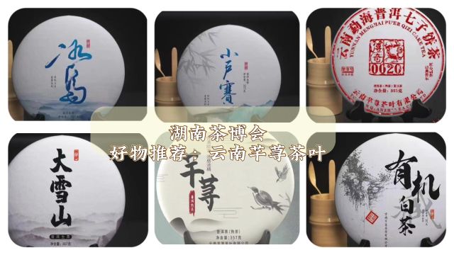 4月1720日•湖南国际会展中心(芒果馆)TC15,云南芊荨茶叶与您相约2024第十六届湖南茶文化