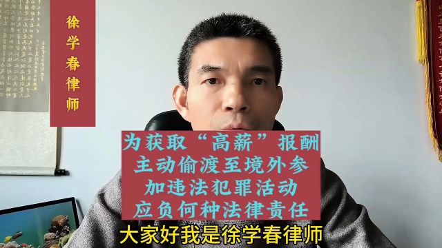 为获取“高薪”报酬,主动偷渡至境外参加违法犯罪活动,应负何种法律责任?