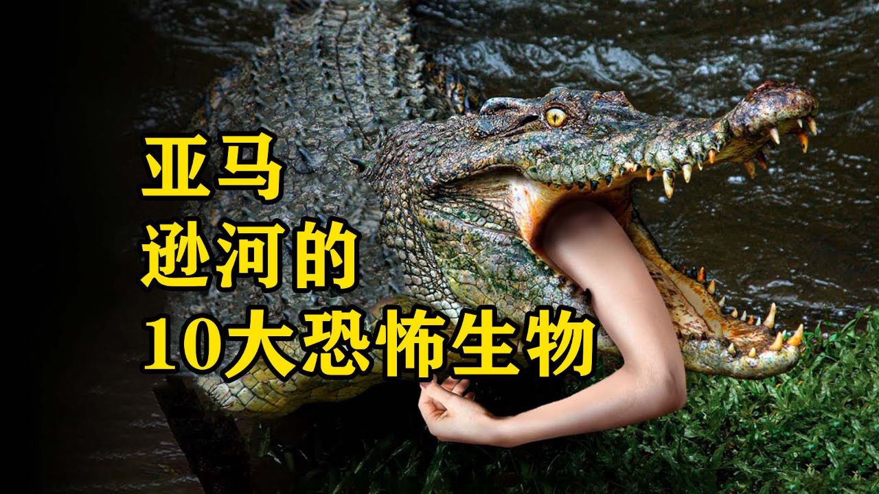 亚马逊河的10大恐怖生物,食人鱼只排第6,第一名是男人的噩梦