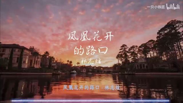 《凤凰花开的路口》手语歌曲表演