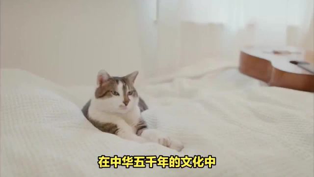 揭秘猫睡床上的风水暗示:好运、健康,还是财富?