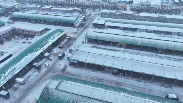 临沂:价稳量足!雪后市民“菜篮子”有保障