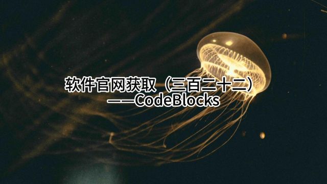 软件官网获取(三百二十二)——CodeBlocks