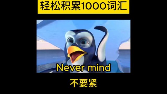 每日英语口语练习never mind不要紧