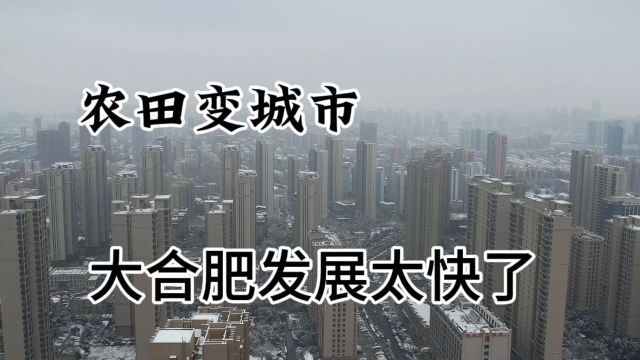 安徽合肥庐阳区才是真正的老城区大合肥迎来2024开年第一次降雪!