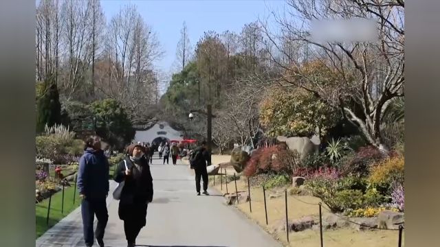 北京:国家植物园花展,500多种兰花争相斗艳