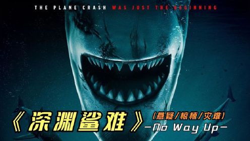 2024年最新灾难片《深渊鲨难》事实证明，千万不要乘坐便宜的航班