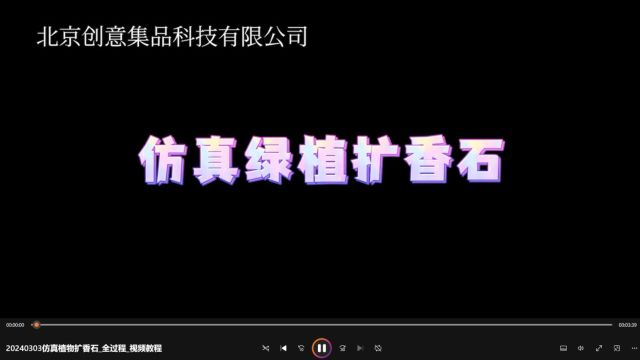 20240303仿真植物扩香石全过程视频教程.wmv