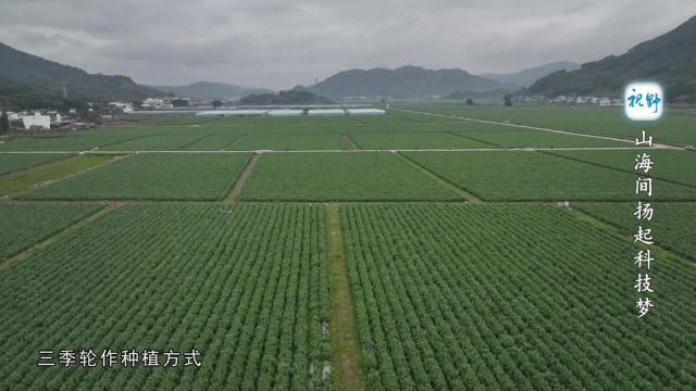 【视野】山海间扬起科技梦