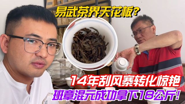 易武茶界天花板?14年刮风寨转化惊艳,班章混元成功拿下18公斤!