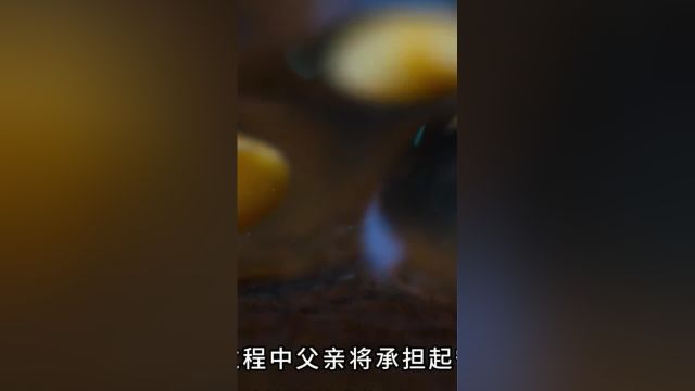 第8集丨两只青蛙的打斗都可以拍成动作大片了小小世界动物世界草莓箭毒蛙