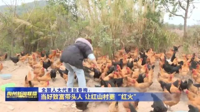 全国人大代表张春梅: 当好致富带头人 让红山村更“红火”