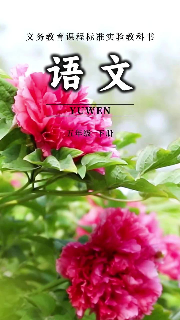 用语文课本的方式 打开菏泽美景