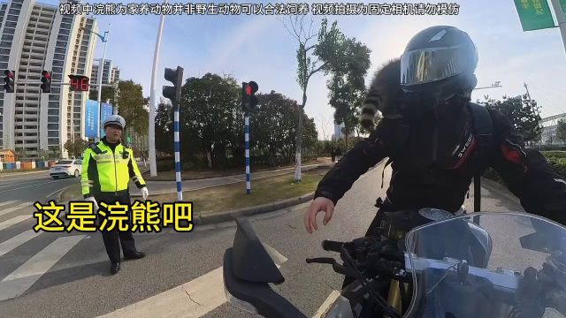 带浣熊刷街被交警叔叔拦下来了,原因竟然是