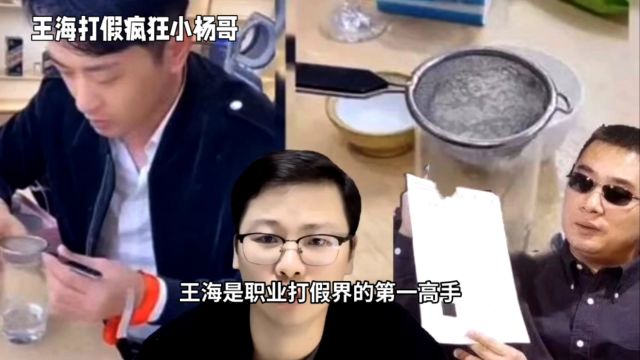 王海:中国职业打假的头部人物,与疯狂小羊哥的对决