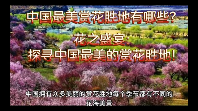 中国最美赏花胜地有哪些?花之盛宴:探寻中国最美的赏花胜地!