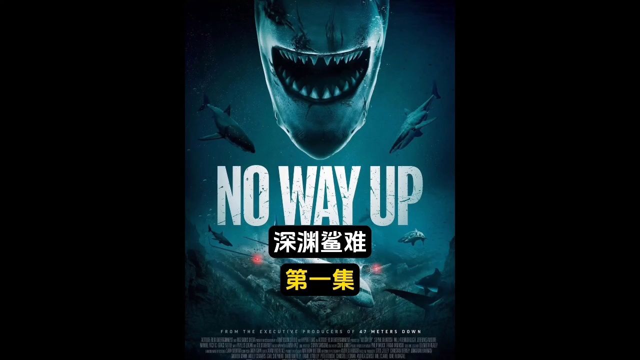 一场空难发生后,飞机坠入大海