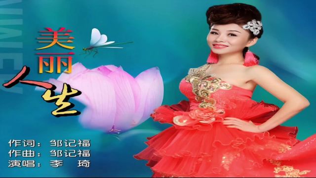 李琦  美丽人生(KTV版)