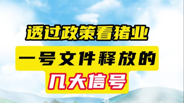 未来能繁母猪或减到3800万头?集团场和家庭农场如何发展?