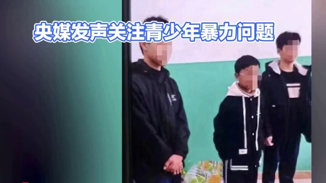 【央媒发声:关注青少年暴力问题】