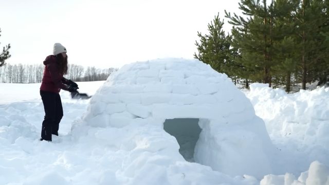 女人在冰天雪地建造雪屋庇护所露营,各种技能信守捏来,堪称天花板