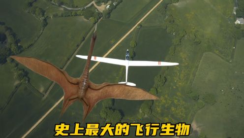 最大的翼龙，高如长颈鹿，翼展16米，它真的会飞吗？纪录片