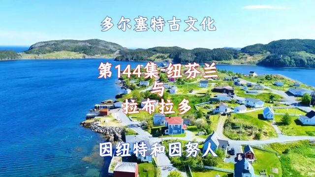 纽芬兰和拉布拉多:捕捞海龟、观察鲸鱼、接近野生海豹、乘坐夏季的绿岛邮轮#航拍#看世界#美景#治愈系风景 