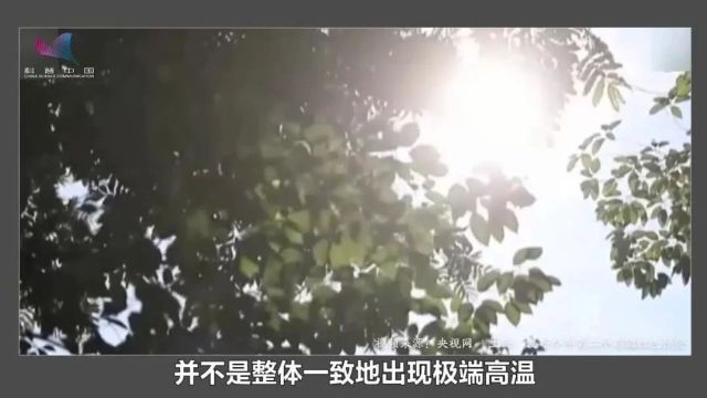 科普之窗 | 魏科上海追平百年高温记录