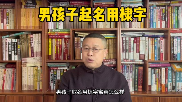 宝宝起名字,男孩子起名用棣字怎么样?取名老师秦华