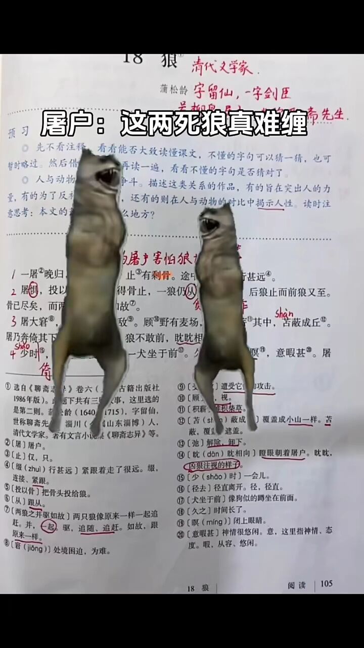 狼王跳舞 #娱乐