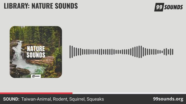 99Sounds 发布免费的 Nature Sounds 自然音效合集采样包