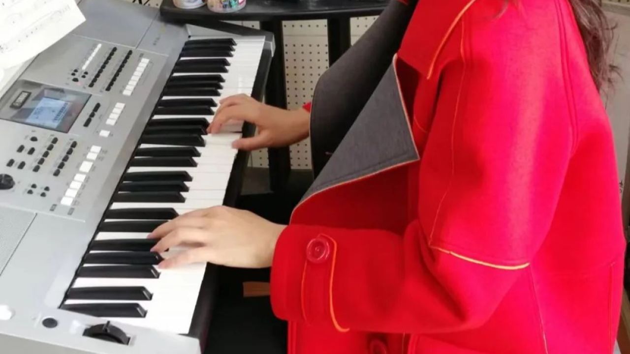 王盼电子琴《在那桃花盛开的地方》1