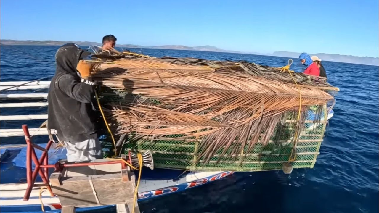 男人在海上用自制竹笼捕鱼,收获让人意想不到