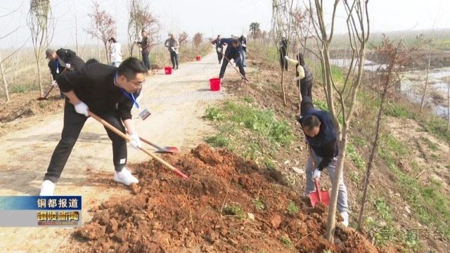 【文明健康 绿色环保】栽下一棵树 植下一片绿