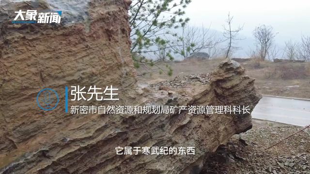 网传新密发现三叶虫化石?官方回应→