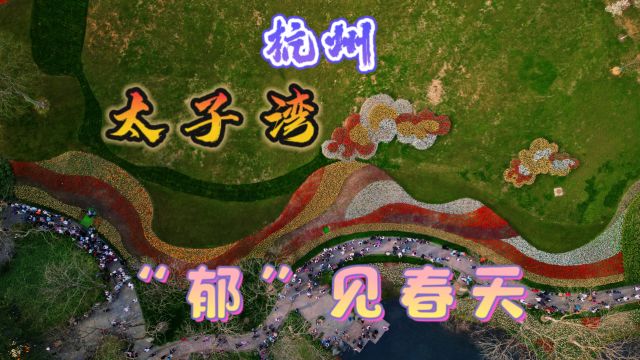 “郁”见春天,杭州太子湾应春之邀,顶流归位,爱如繁花,不负春光