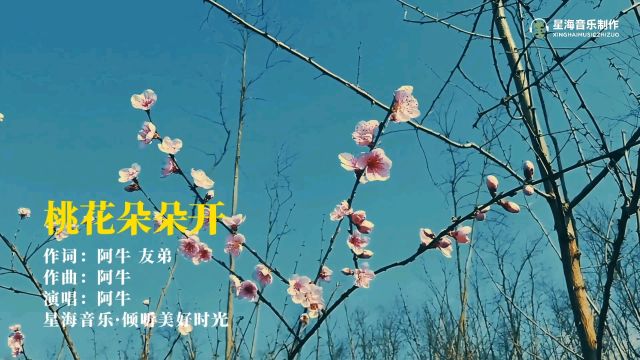 阿牛《桃花朵朵开》以前的歌曲真的怎么听都好听!