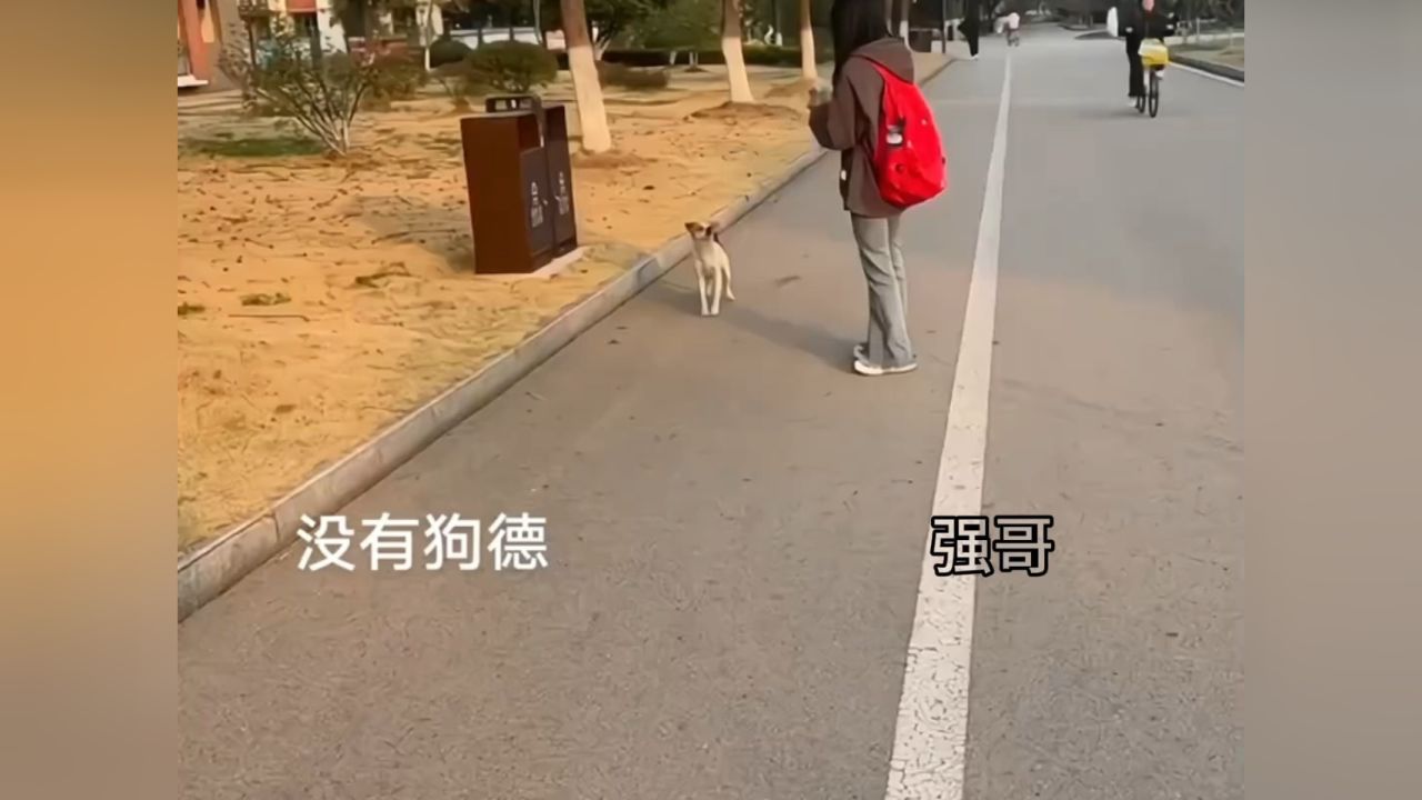 狗:淀粉肠啊 那不吃…#搞笑配音 #狗狗