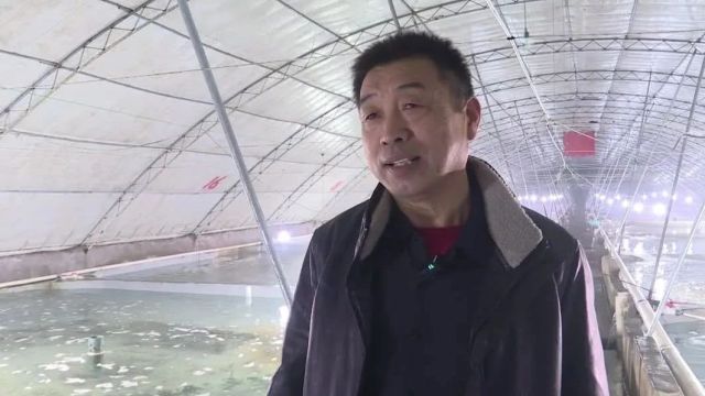 龙口发展特色海产品养殖!多宝鱼、海马…游出致富新“丰”景