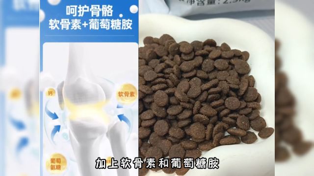 幼犬身体发抖的原因,你知道吗?