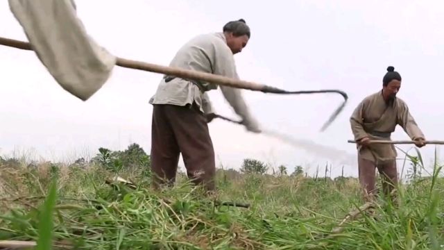 神奇菊花拯救失明母亲