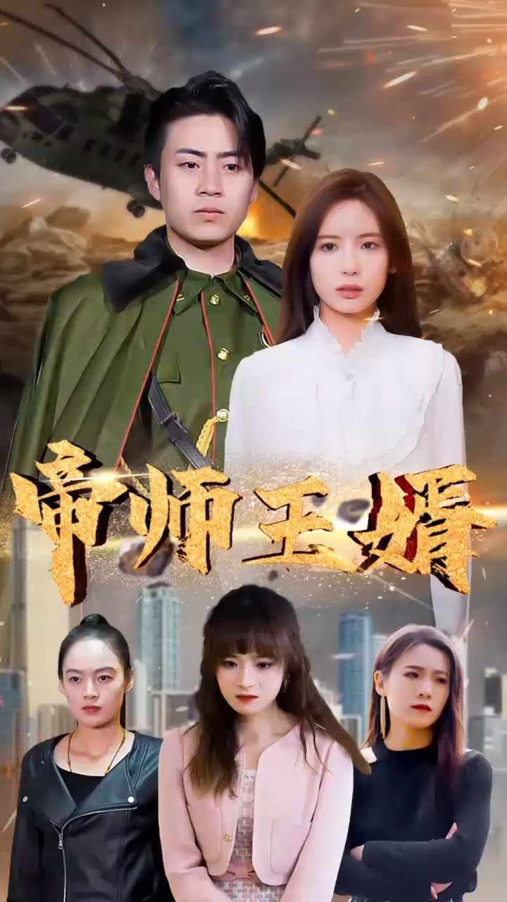 帝师王婿(97集)2