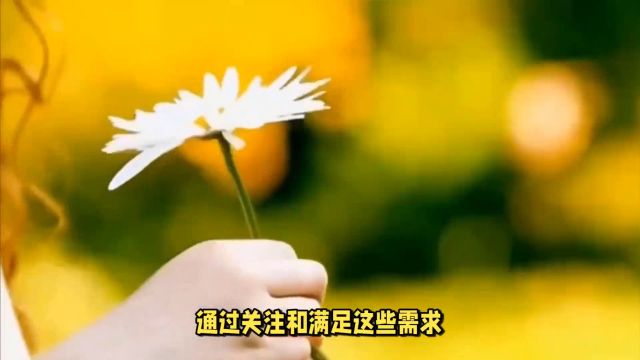 幸福的秘诀:满足三种内在需求