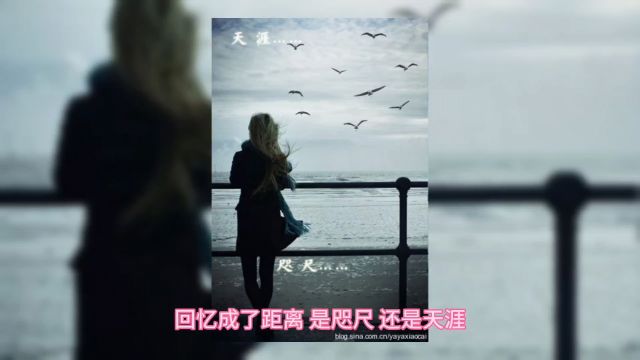 咫尺远近,无法靠近