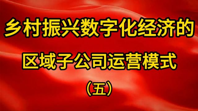 乡村振兴数字化经济的区域子公司运营模式(五)