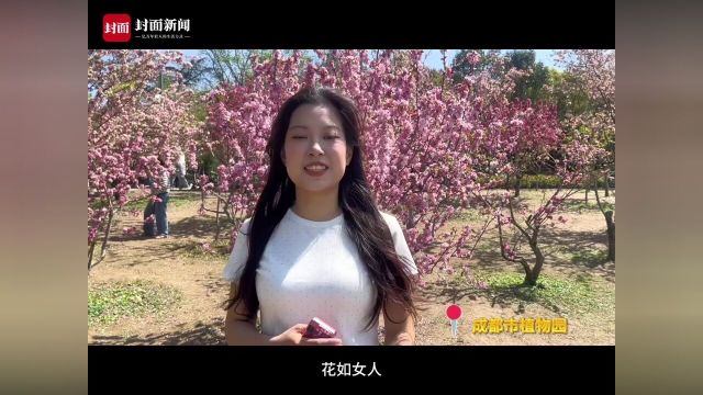 这个春天,你在成都“走花路”了吗?丨Vlog