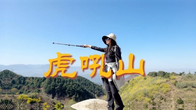 必然得旅行户外之虎吼山赏连翘花白娟梅